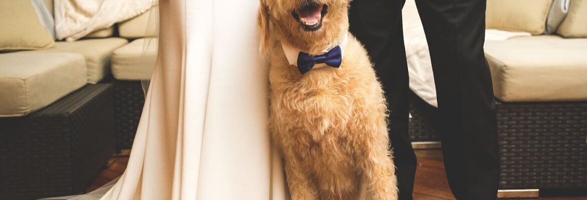 Marisa S Cohen Photography