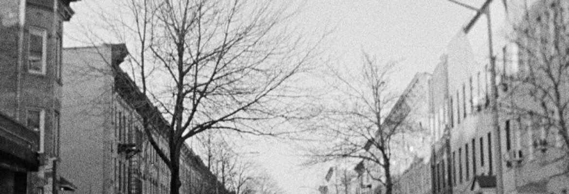 The Color House New York