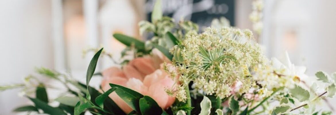 Sandy Noto Photography