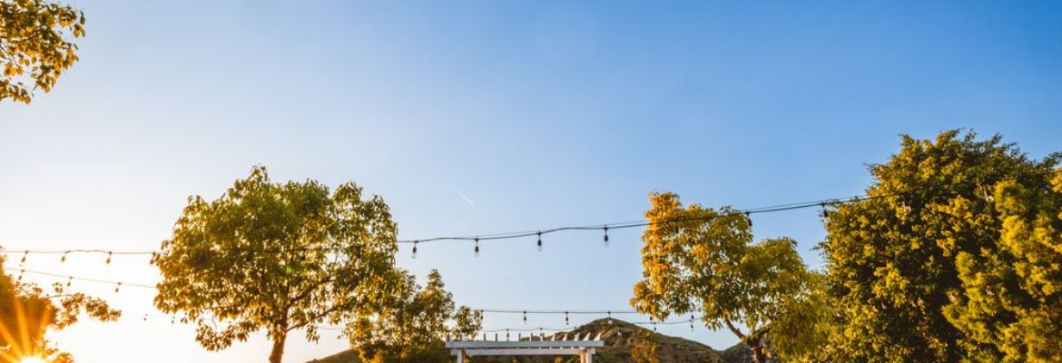 AnthonyMJr Photography