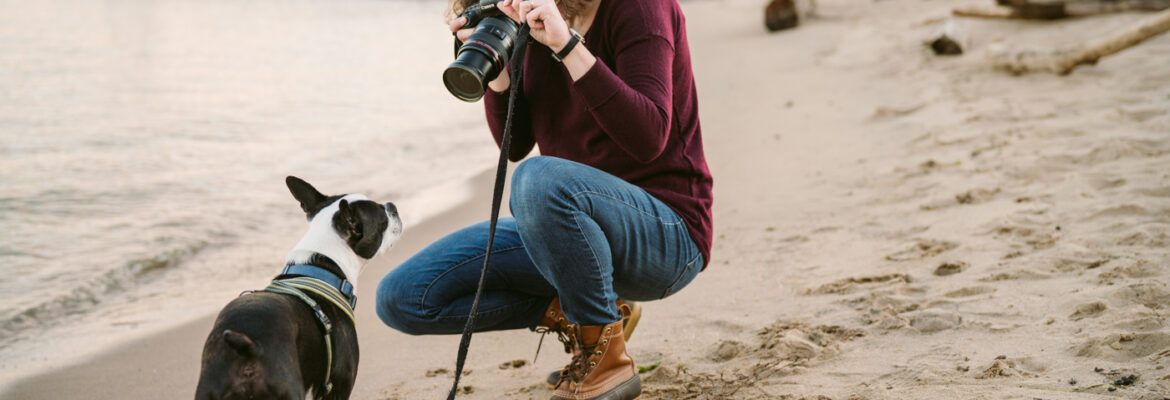 Hannele Lahti │ dog photographer