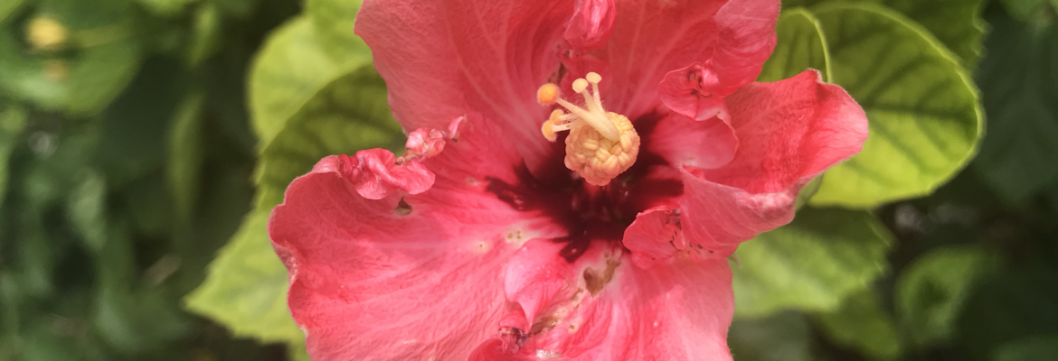 Mave Studio Photography