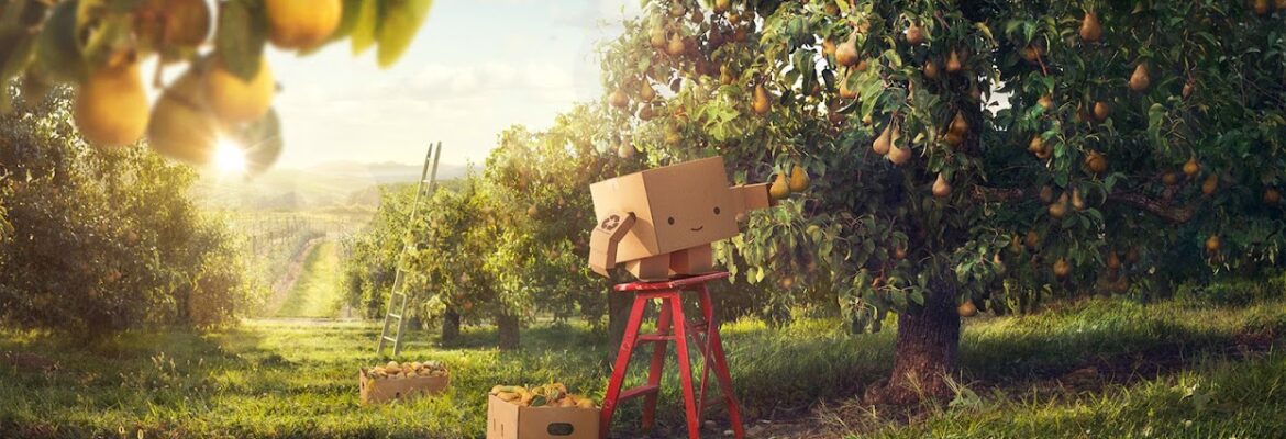 Harry Fellows Photography LLC