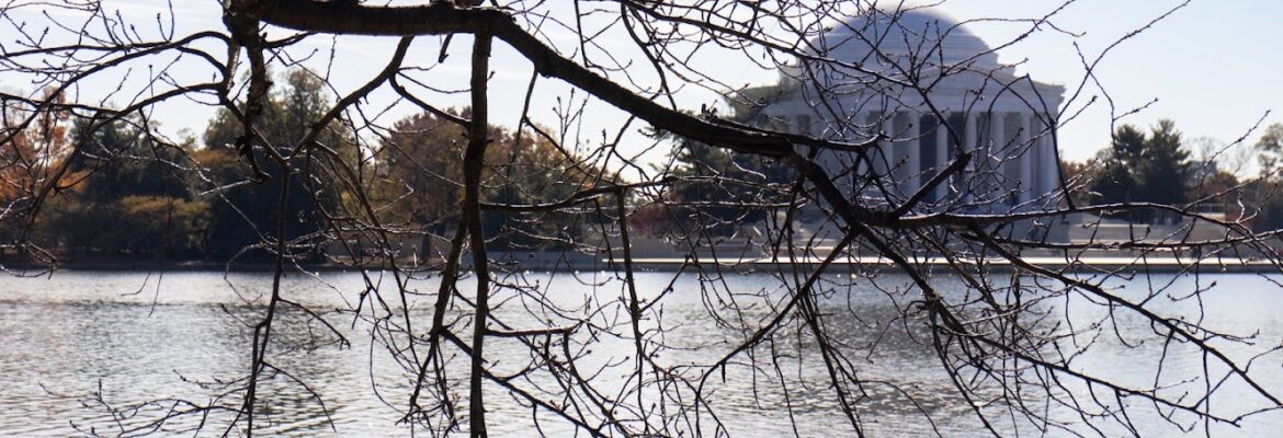 LynMur Photography LLC