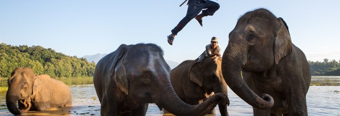 Eric Kruszewski – Washington DC Editorial and Commercial Photographer & Videographer