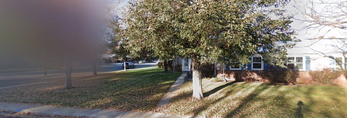 Susan English Photography