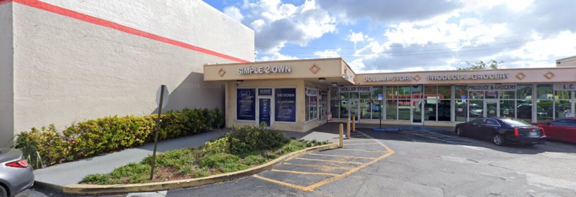 Twin Dragonflies Photography