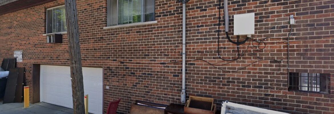 Artistic Explorations