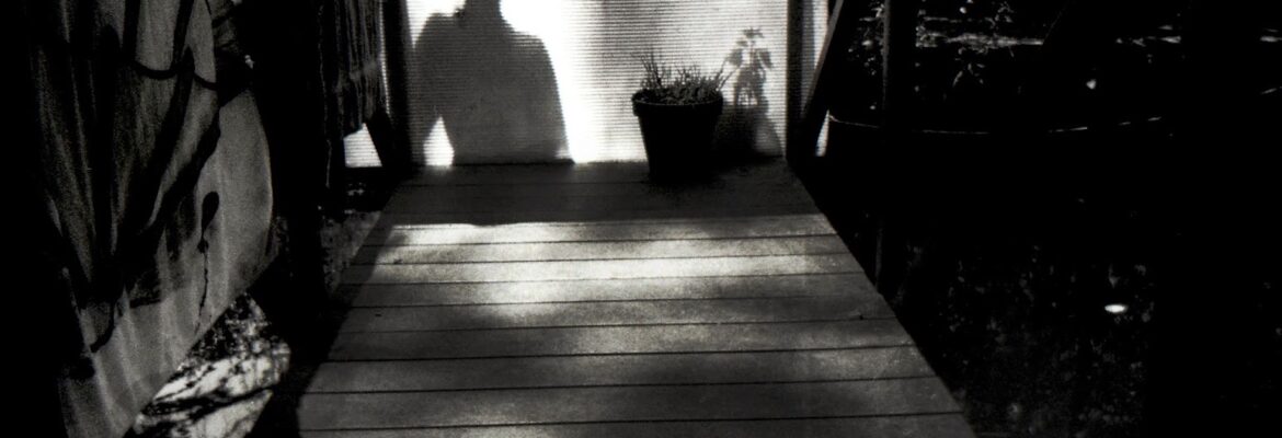 Mary Anne Mitchell Photography