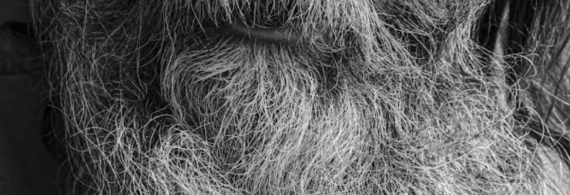 Sean Patrick Photo
