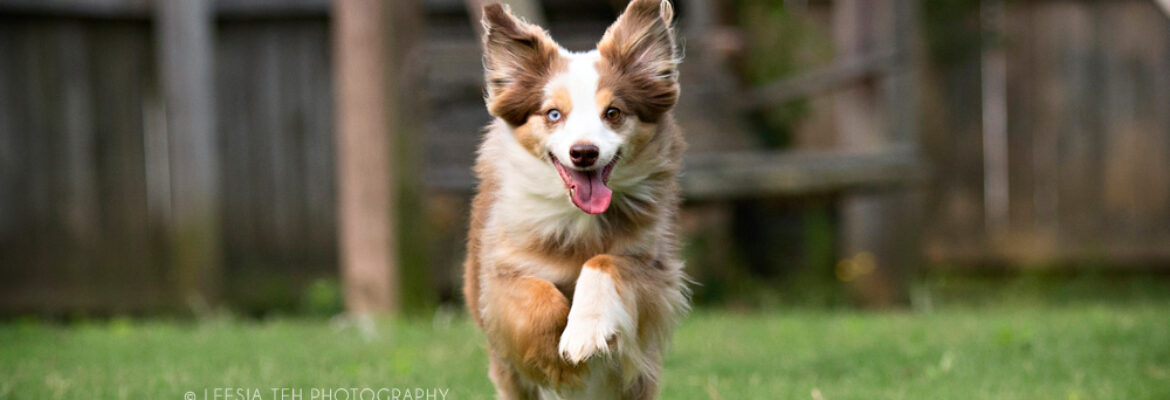 Leesia Teh Photography