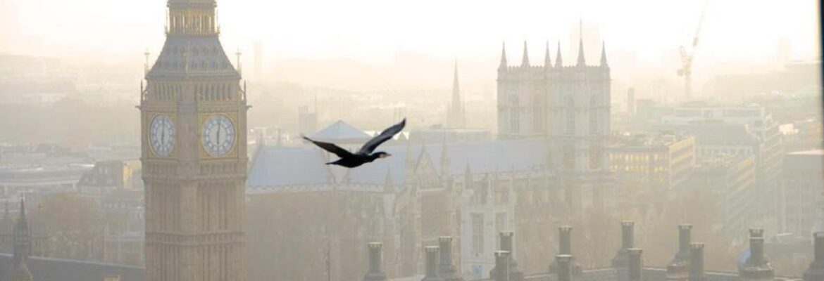 HIRO SATO PHOTOGRAPHY