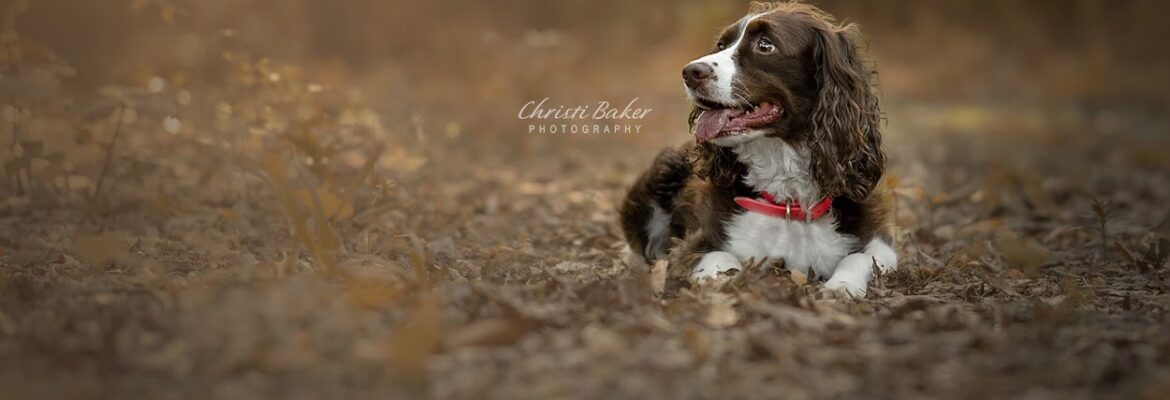 Christi Baker Photography