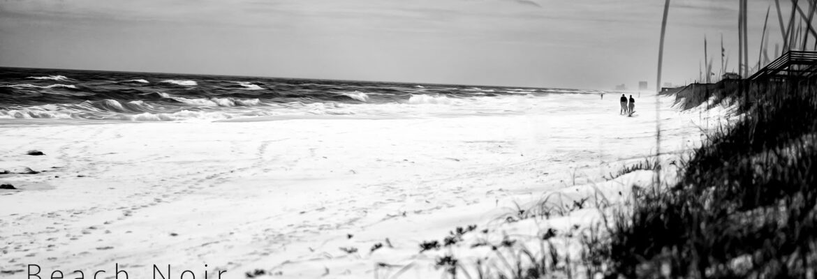 Dave Robertson Photography