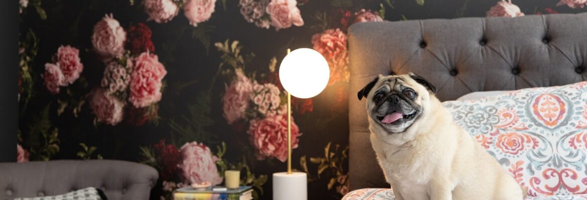 Daniel Moore Studios