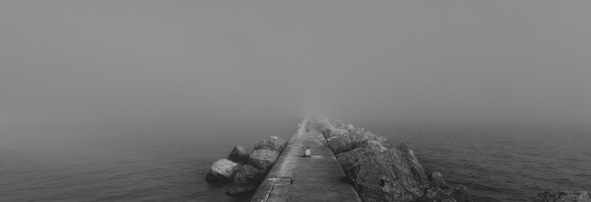 Stacey Bode Photography