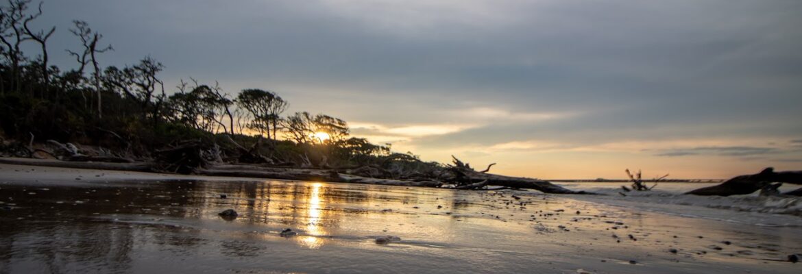 Mianya’s Photography