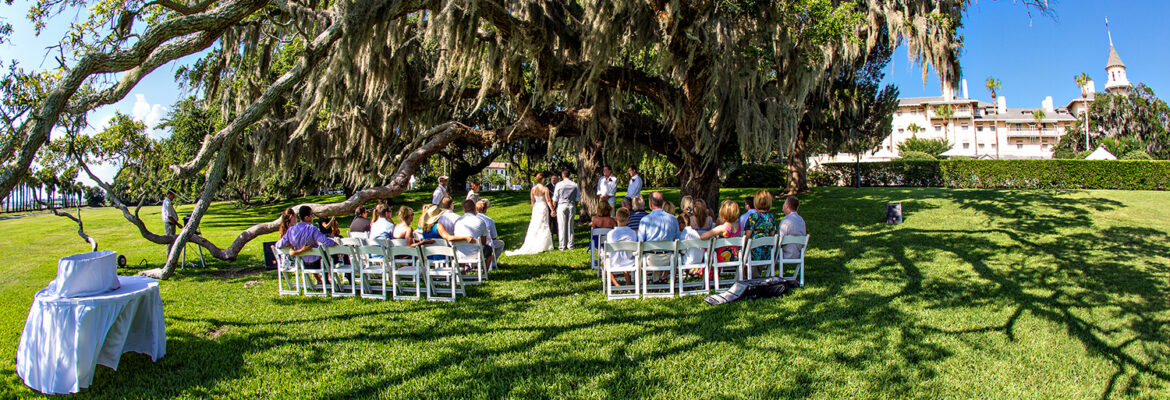 Peacock Photo and Video