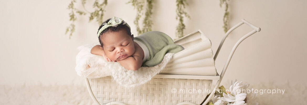 Michelle Haley Photography