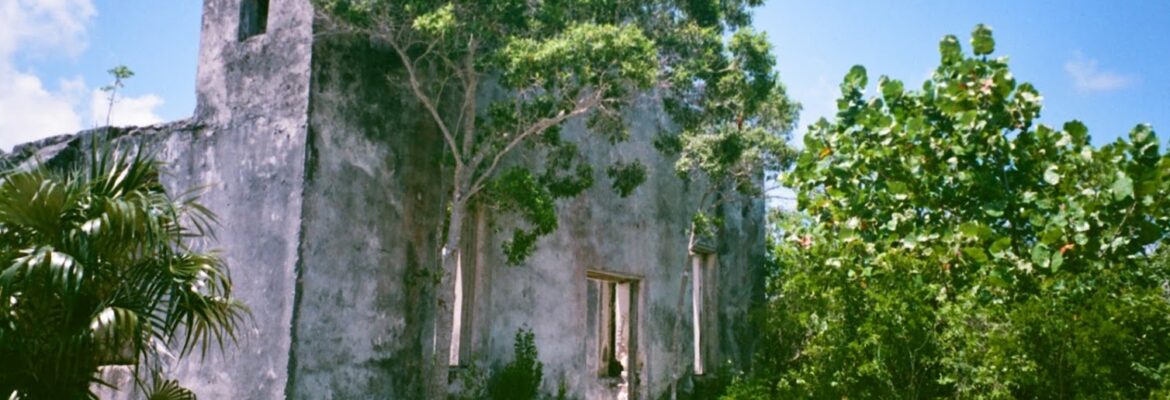 Bellows Film Lab Atlanta