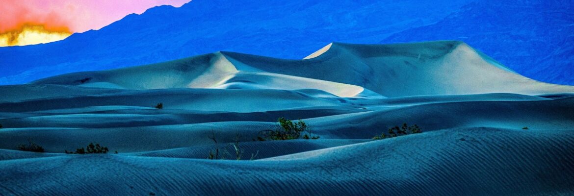 Michael E Buckley Photography