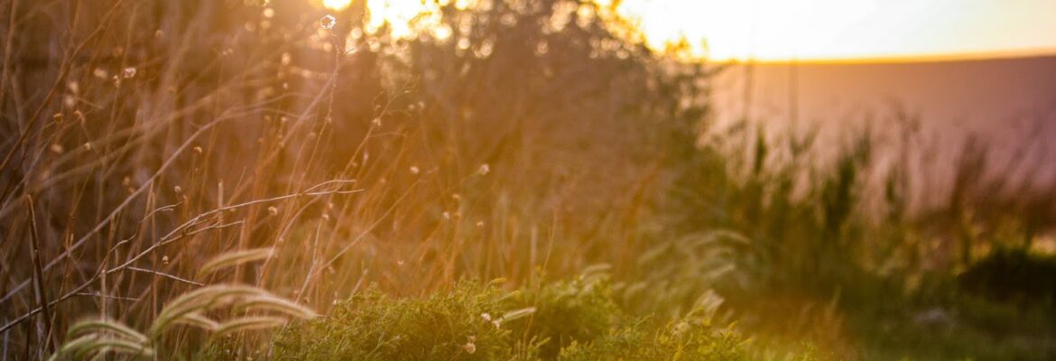 Triple Mark Photography