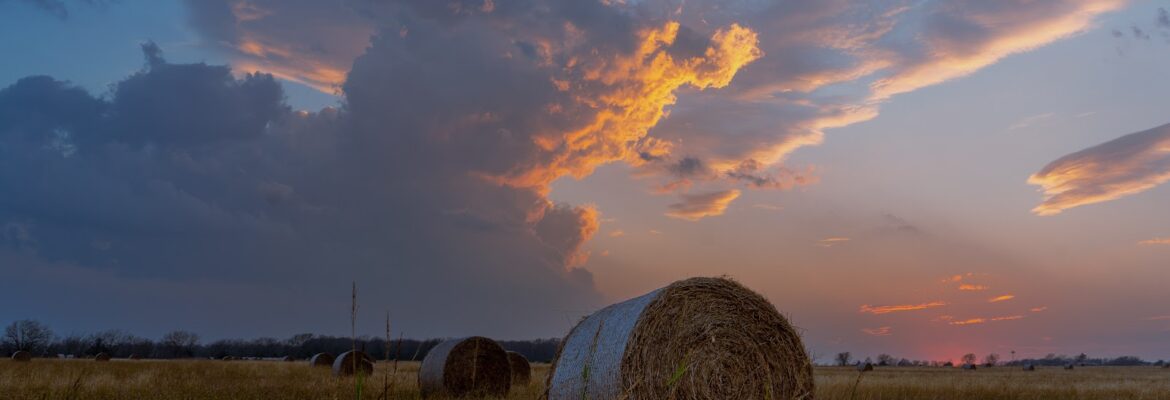 Cooper Sechrist Photography