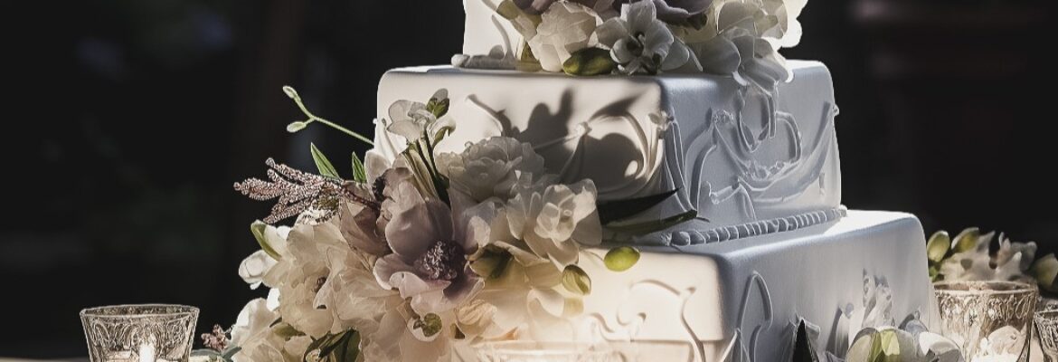 Curtis Jones Photography