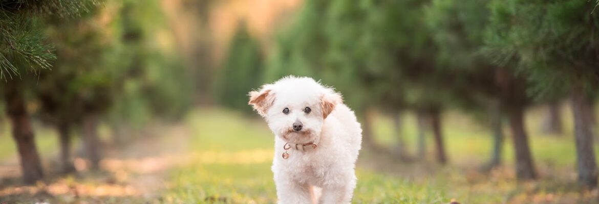 Megan Murray Photography