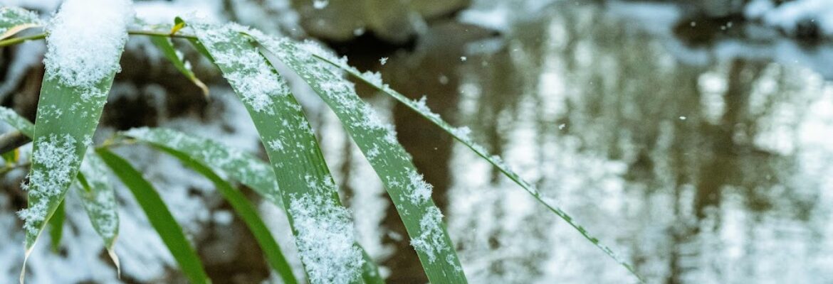 Ken Boyd Photography