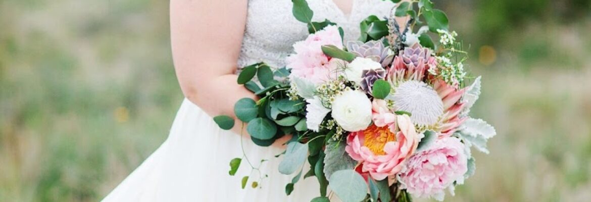 Kathleen Kennedy Photography