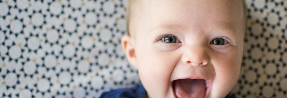 Loomis Lane Photography