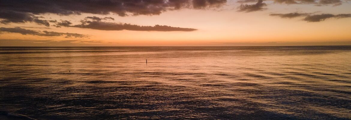 The Drone Vision LLC