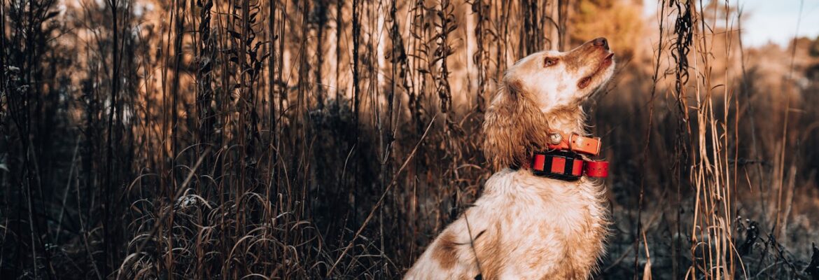 Josh Hicks Photography