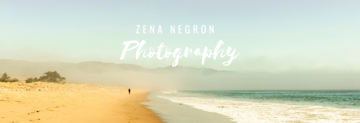 Zena Negron Photography