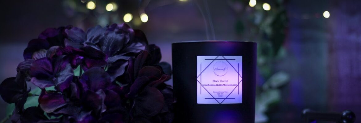 FourWard Photography