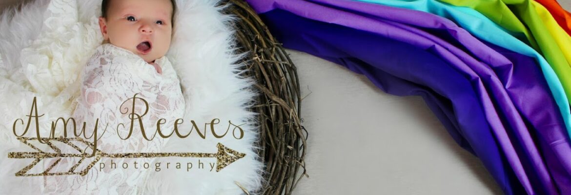 Amy Reeves Photography