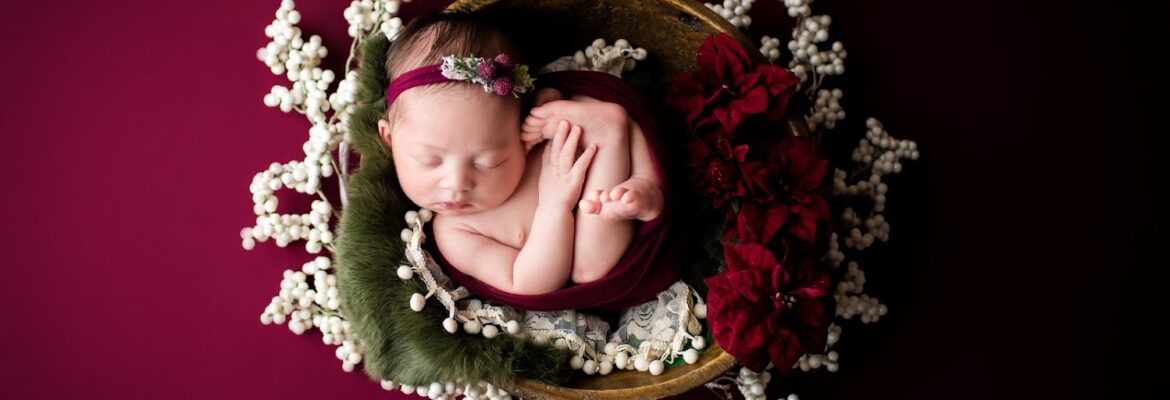 Purple Lilies Photography