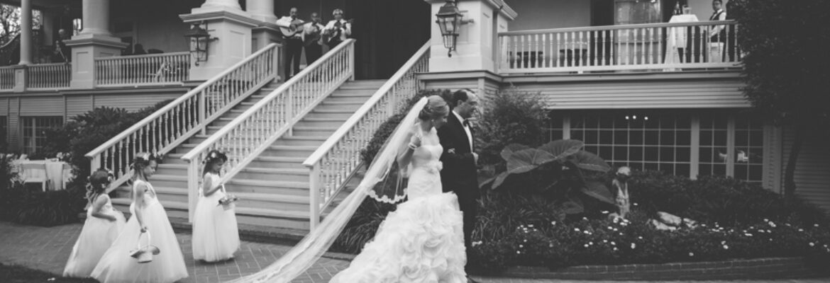 Miranda Laine Photography