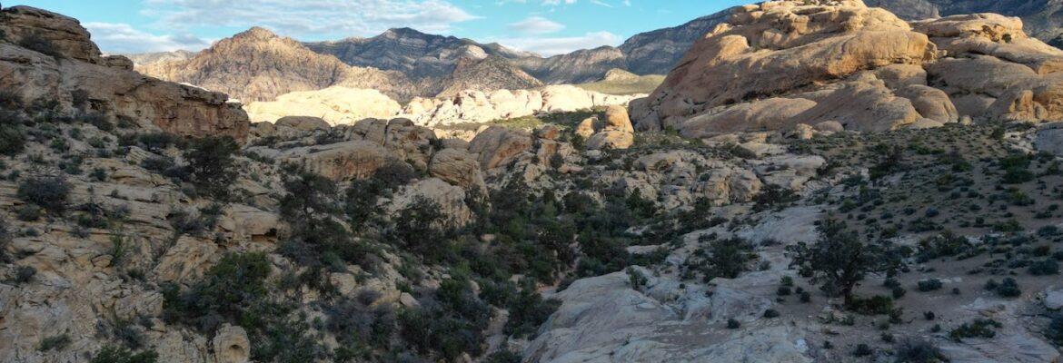 Brickner Drone Imagery