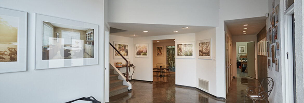 Terry Vine Photography