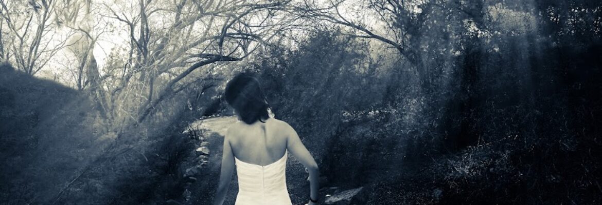 Rosenblums Eclectic Photography