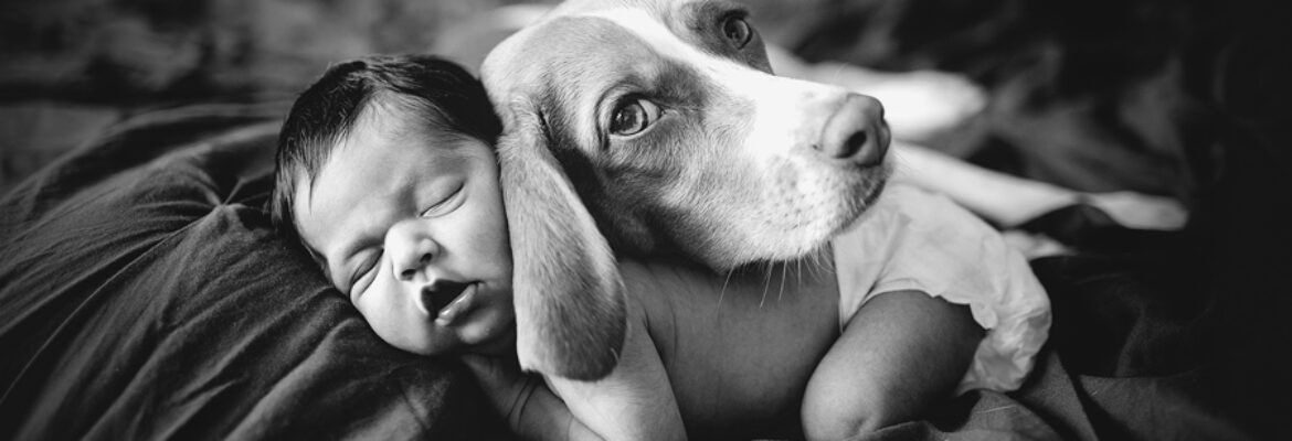 Pretty Little Prints Photography