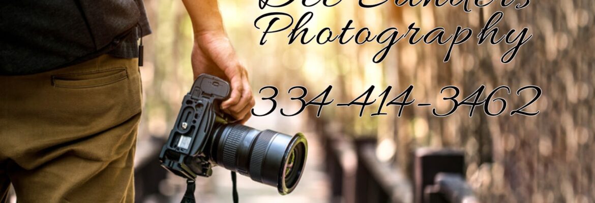 Dee Sanders Photography