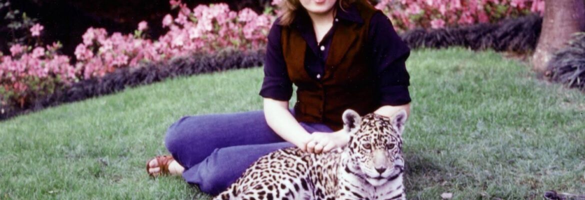 Lee Rodriguez Photographers