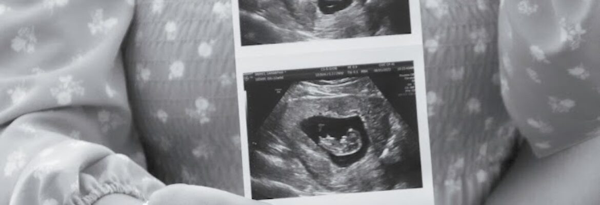 Peach Patch Photography