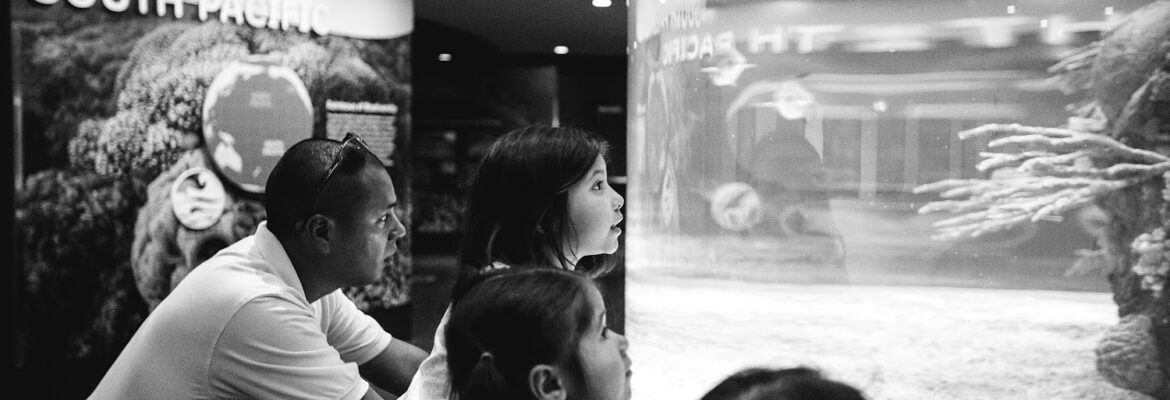 Olive Shoot Photography