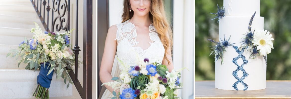 Harlowe Lane Photography