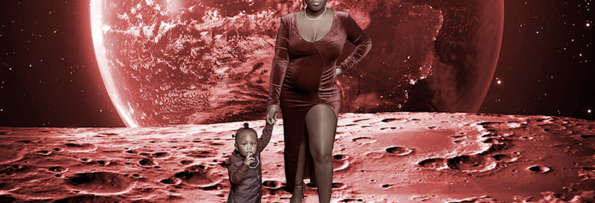 MDVisuals Photography