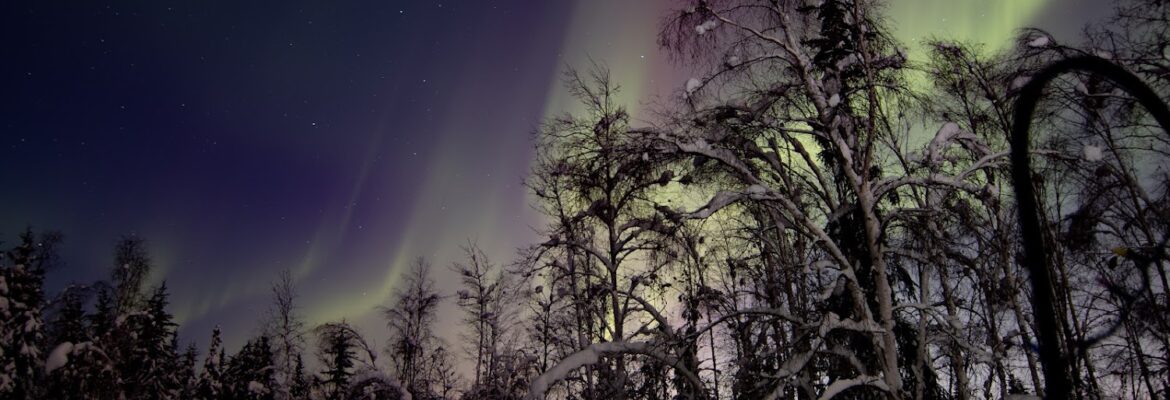 Little Bear Photography